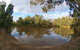 Gemmill Swamp Wildlife Reserve - thumb 1