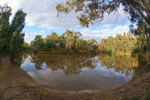 Gemmill Swamp Wildlife Reserve - Accommodation Coffs Harbour 1