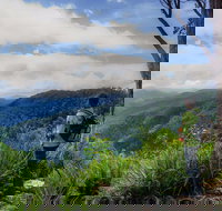 Gloucester Falls Walking Track - Accommodation Coffs Harbour