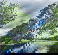 Gold Coast Regional Botanic Gardens - Accommodation Coffs Harbour