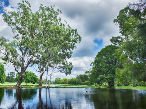 Gold Coast Regional Botanic Gardens - Accommodation Coffs Harbour 0
