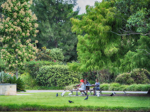 Gold Coast Regional Botanic Gardens - Accommodation Coffs Harbour 2