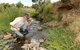 Gold Panning, Deep Creek - thumb 0
