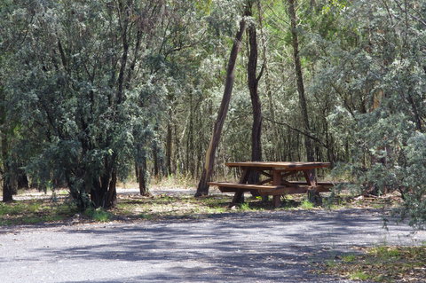 Goonoowigall State Conservation Area - Accommodation Coffs Harbour 0