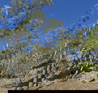 Green track - Accommodation Coffs Harbour