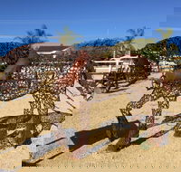 Gundersen Reserve - Accommodation Coffs Harbour