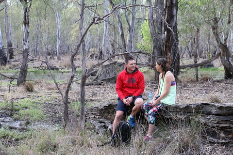 Gunbower Island Forest Drive - Accommodation Coffs Harbour 0