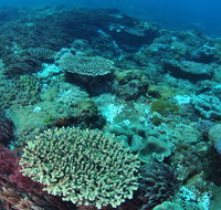 Hanging Rock Dive Site - Accommodation Coffs Harbour