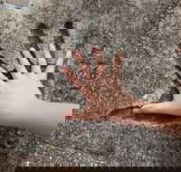 Hands of Fame Park - Accommodation Coffs Harbour