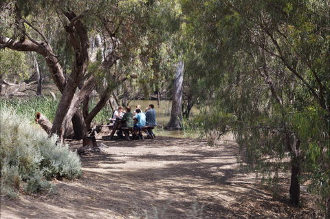 Hay Weir - Accommodation Coffs Harbour 2