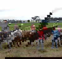 High Country Trail Rides - Accommodation Coffs Harbour