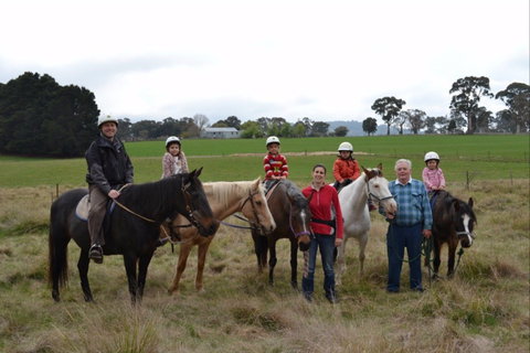 High Country Trail Rides - Accommodation Coffs Harbour 0
