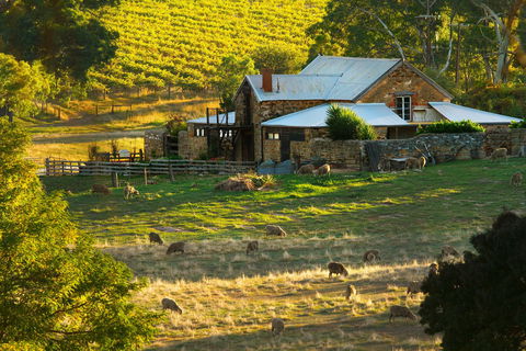 Hutton Vale Farm - Accommodation Coffs Harbour 1