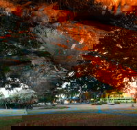Jubilee Park Mackay - Accommodation Coffs Harbour