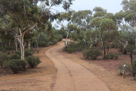 Karlkurla Bushland Park - Accommodation Coffs Harbour 0