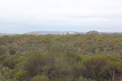 Karlkurla Bushland Park - Accommodation Coffs Harbour 1