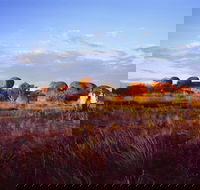 Karlu Karlu / Devils Marbles Conservation Reserve - Accommodation Coffs Harbour