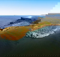 Kattang Nature Reserve - Accommodation Coffs Harbour