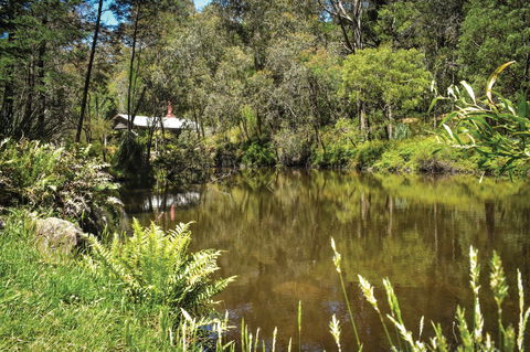 Kurth Kiln Regional Park - Accommodation Coffs Harbour 0