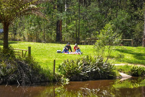 Kurth Kiln Regional Park - Accommodation Coffs Harbour 1