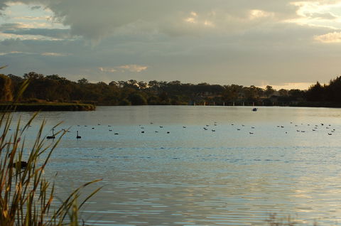 Lake Inverell Reserve - Accommodation Coffs Harbour 0