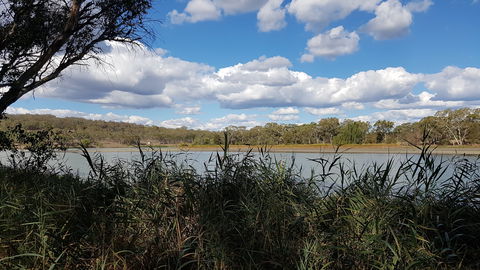 Lake Inverell Reserve - Accommodation Coffs Harbour 1