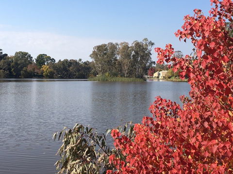 Lake Benalla - Accommodation Coffs Harbour 1