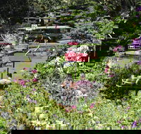 Launceston Gorge Scenic Chairlift - Accommodation Coffs Harbour