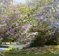 Leis Park - Accommodation Coffs Harbour