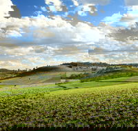 Lions Park Hodgson Vale - Accommodation Coffs Harbour