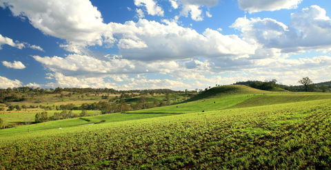 Lions Park, Hodgson Vale - Accommodation Coffs Harbour 0