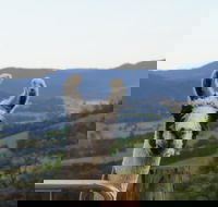 Llama Walks Tasmania - Accommodation Coffs Harbour