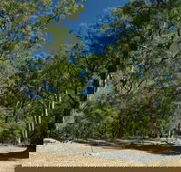 Maidens Tuart Forest - Accommodation Coffs Harbour