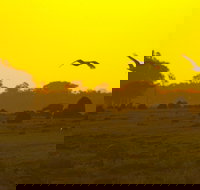 Mary River - Accommodation Coffs Harbour