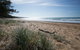 Mon Repos Beach - thumb 1