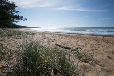 Mon Repos Beach - Accommodation Coffs Harbour 1
