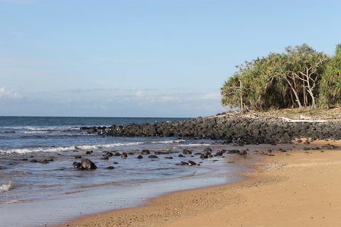 Mon Repos Beach - Accommodation Coffs Harbour 2