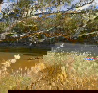 Murrumbidgee Valley National Park - Accommodation Coffs Harbour