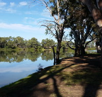 Murray River National Park - Katarapko - Accommodation Coffs Harbour