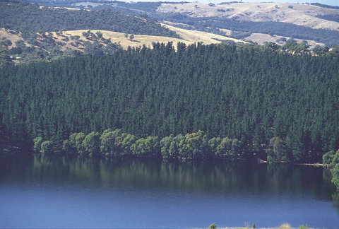 Myponga Reservoir Lookout - Accommodation Coffs Harbour 0