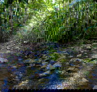 Nambucca Valley - Accommodation Coffs Harbour