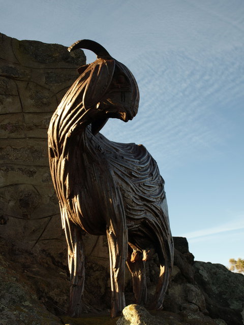 Nanny Goat Hill Lookout - Accommodation Coffs Harbour 1