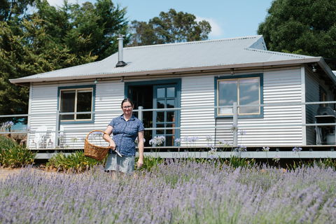 Nannup Lavender Farm - Accommodation Coffs Harbour 1