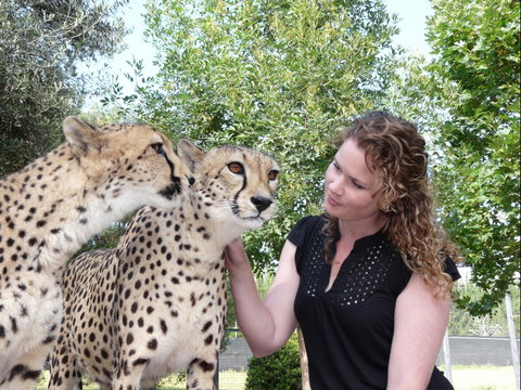 National Zoo & Aquarium - Accommodation Coffs Harbour 1