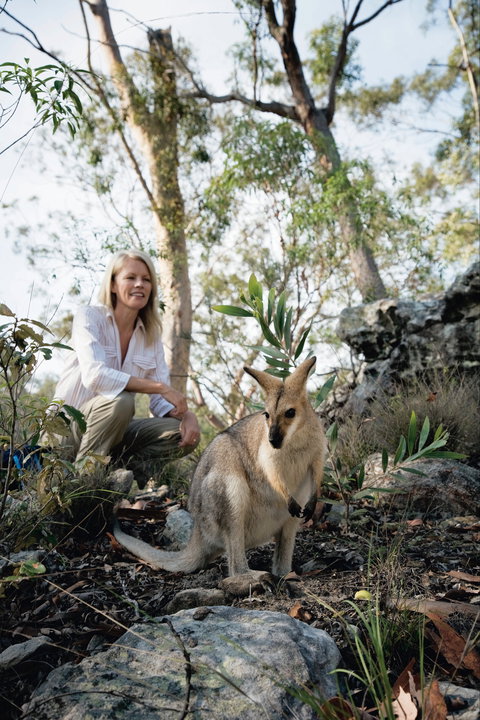 North Burnett - Mount Perry (via Monto) To Biggenden To Childers - Accommodation Coffs Harbour 2