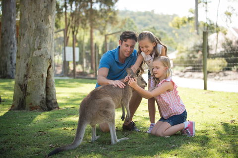 Paradise Country - Accommodation Coffs Harbour 2