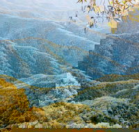 Point Lookout Walking Track - Accommodation Coffs Harbour