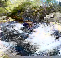 Polblue Falls - Accommodation Coffs Harbour