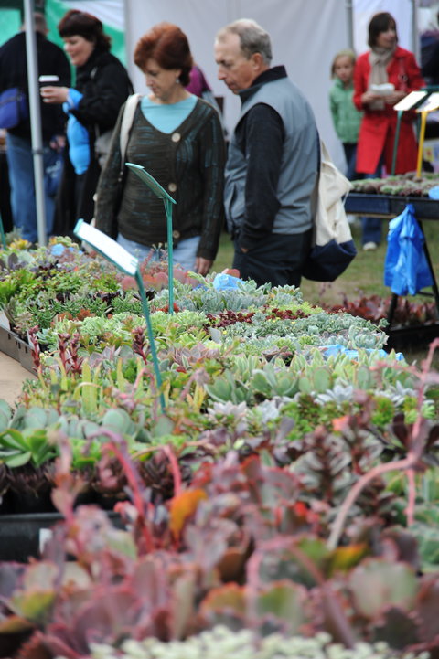 Portsea Market - Accommodation Coffs Harbour 0