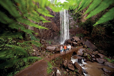Queen Mary Falls Circuit, Main Range National Park - Accommodation Coffs Harbour 0